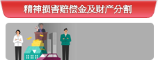 精神损害赔偿金及财产分割